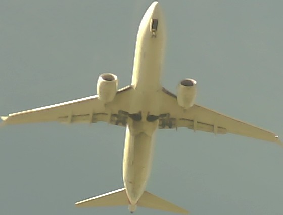 Airplane Picture