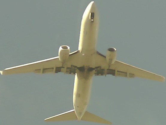 Airplane Picture