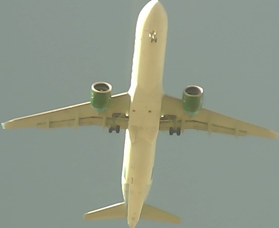 Airplane Picture