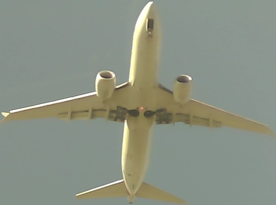 Airplane Picture