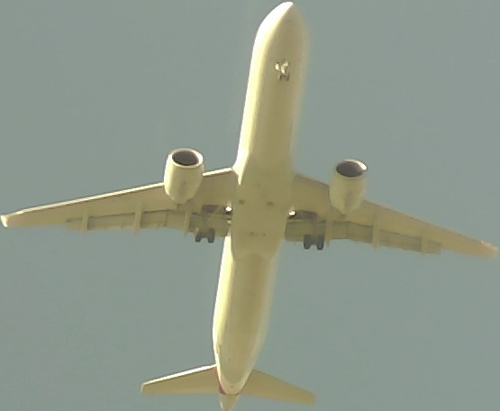 Airplane Picture