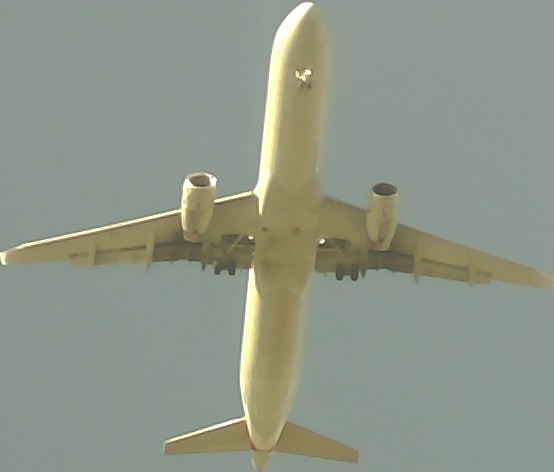 Airplane Picture