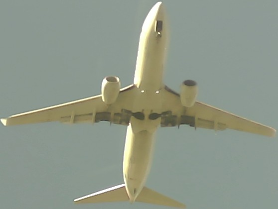 Airplane Picture