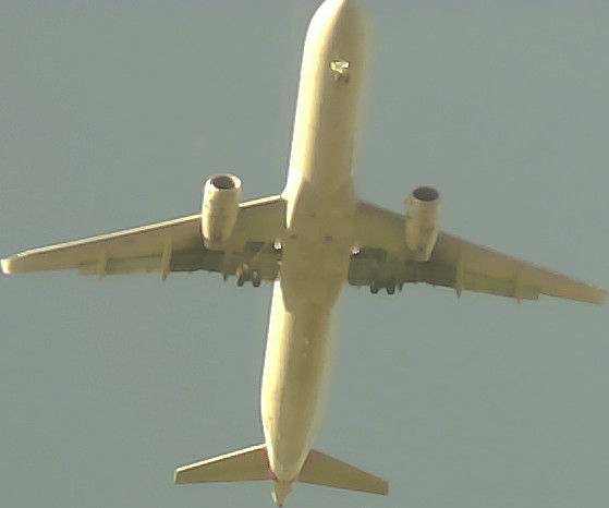 Airplane Picture
