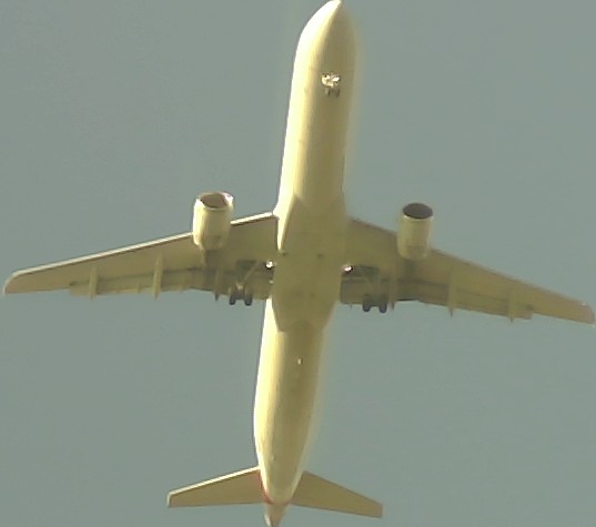 Airplane Picture