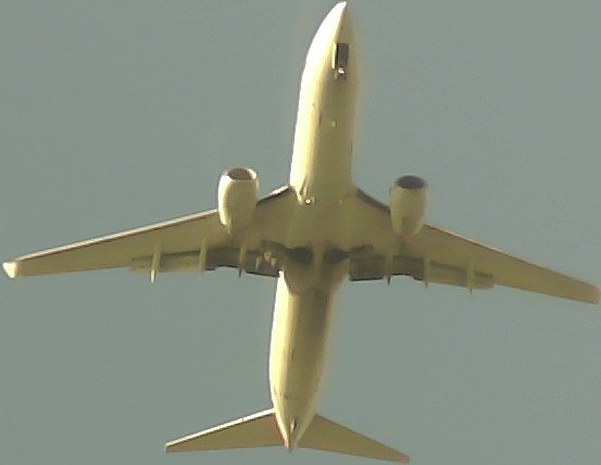 Airplane Picture