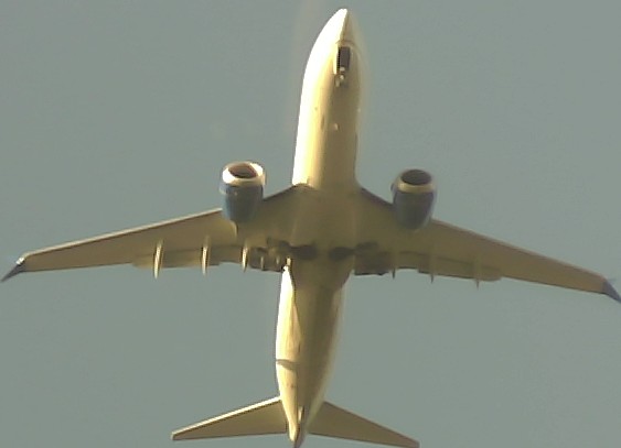 Airplane Picture